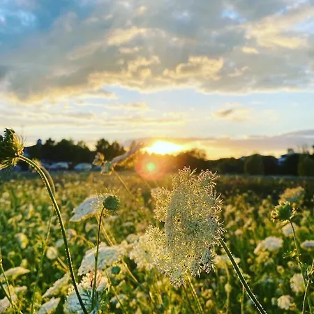 Luxus Memory * Goehren-Lebbin