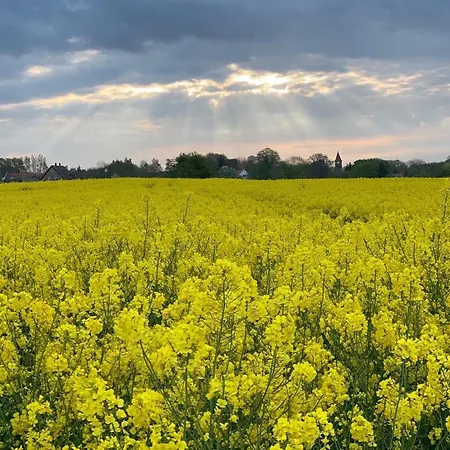 Luxus Memory Goehren-Lebbin